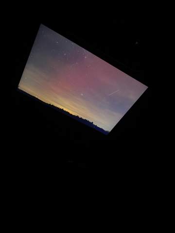 Bild zum Beitrag
