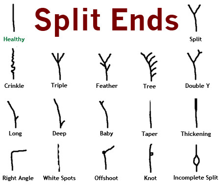 Spliss - (Haare, Spliss, erkennen)