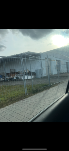 Bild zum Beitrag