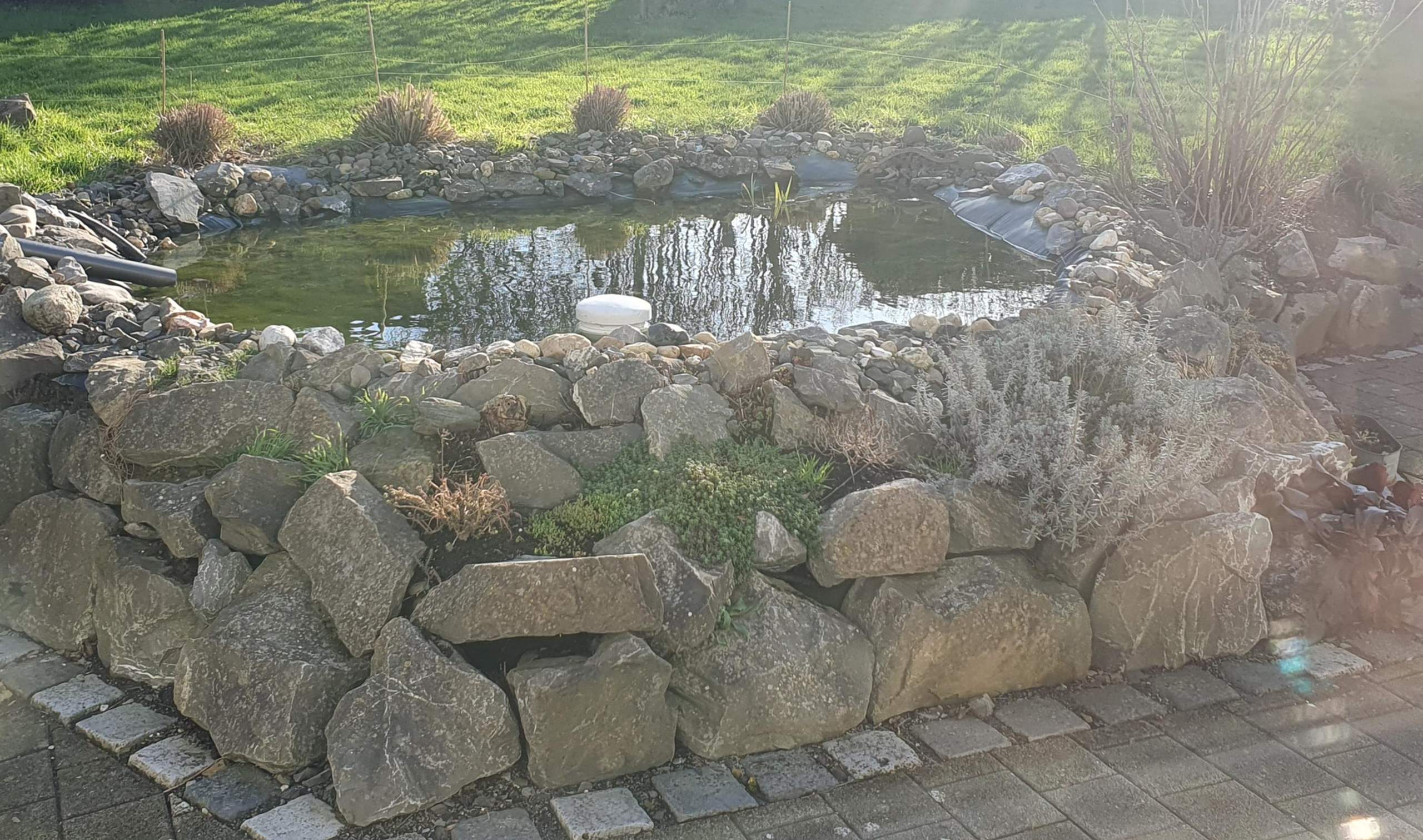 Zaun um Gartenteich Ideen zur Umsetzung? (Garten, Teich, Gartenarbeit)