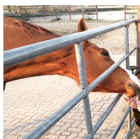 Instagram profilbild erstellen Instagram profilbild erstellen