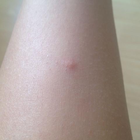 Freundschaft test Freundschaft test