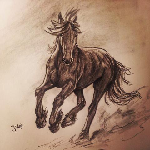 Pferd - (Zeichnung, Utensilien)