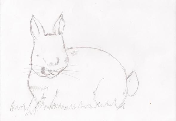 Hase - (Schule, Kunst, Hasen)