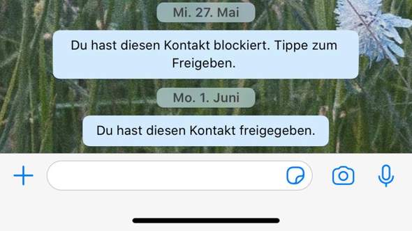 Zeigt es auf whatsapp dem anderen an wenn man den blockiert
