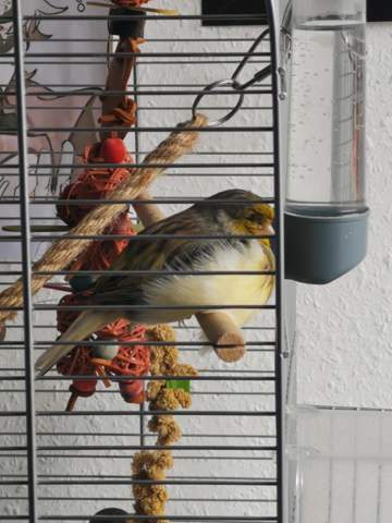 Bild zum Beitrag