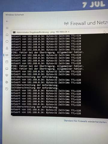 Bild zum Beitrag