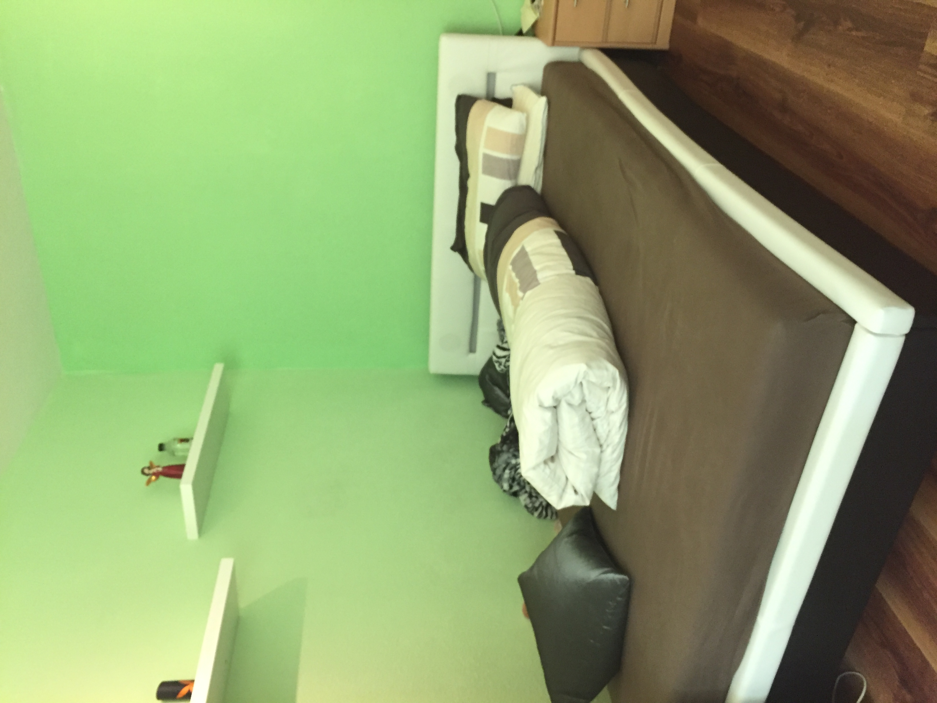 Zimmer in Anthrazit und Grün? (Farbe, Wand)