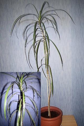 Gute frage kostenlos Gute frage kostenlos