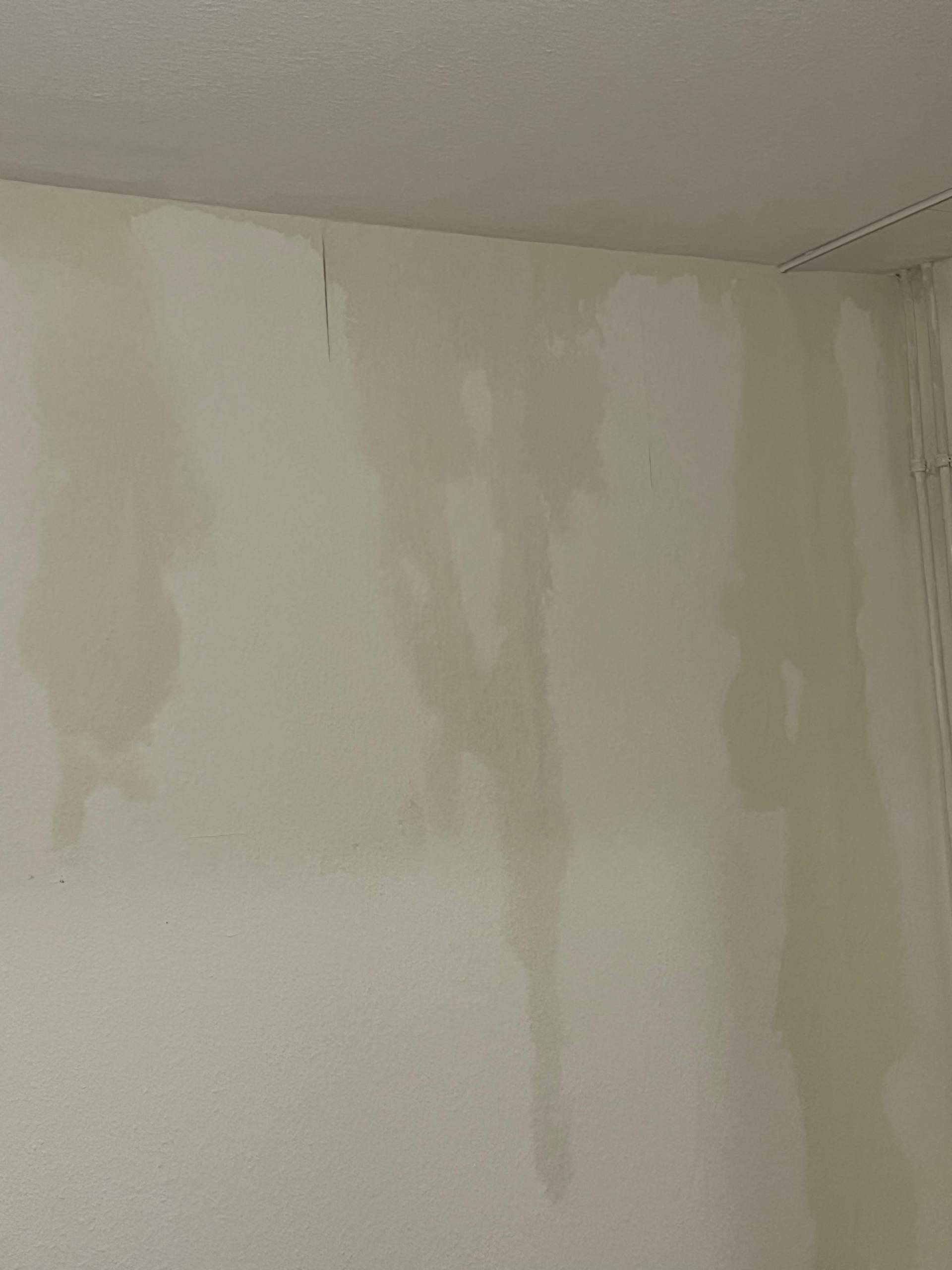 Hauswand Nass Nach Regen