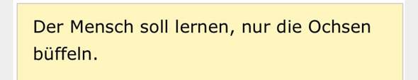 Bild zum Beitrag