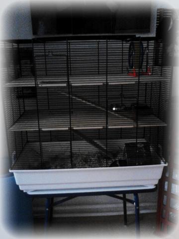 hamster käfig - (Hamster, Kleintiere)