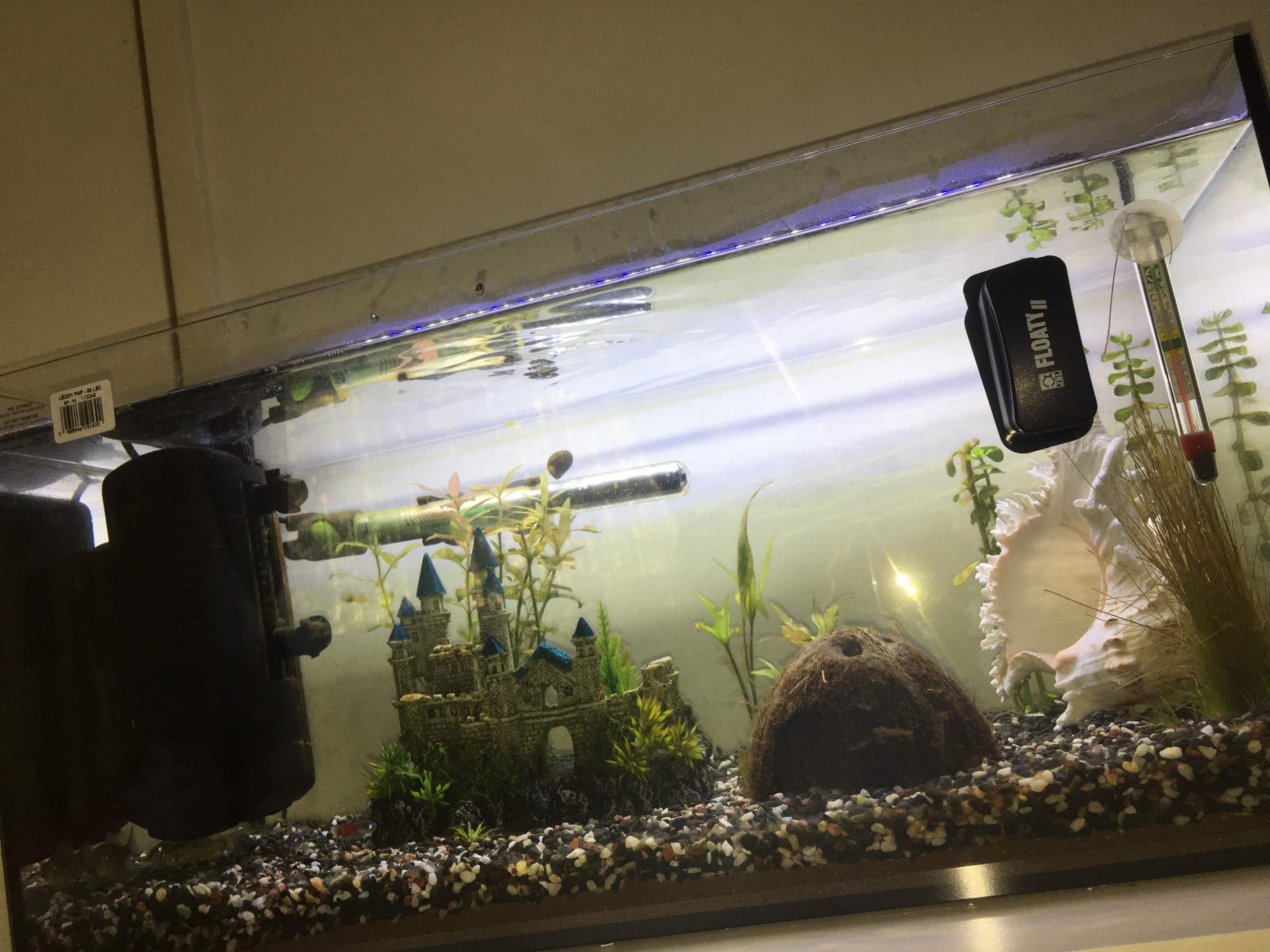 Zu hell im Aquarium? (Licht, Aquaristik)