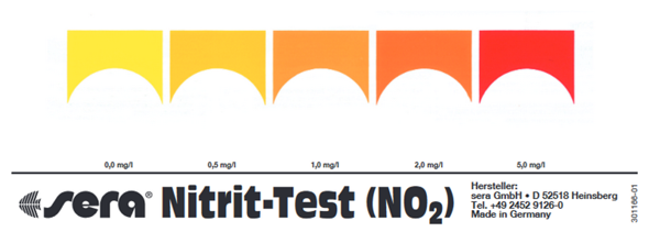 Nitrit testen - Nitrit Test Aquarium - FISCHE SOFORT EINSETZEN?! - NO2 Test  
