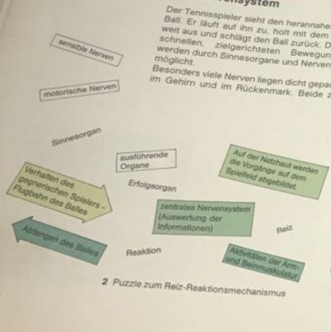 Zuordnung - (Gesundheit, Medizin, Leben)