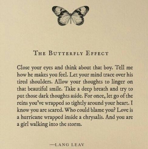 Dies ist der Ausschnitt 
The butterfly Effect - (Buch, Zitat, Tumblr)