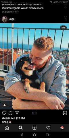 - (Tiere, Hund, Rasse)