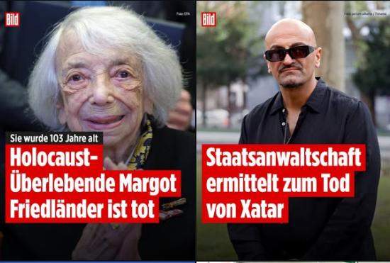 Bild zum Beitrag