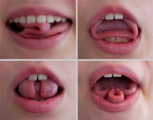 Zungenformen - (Training, Zunge, Form)