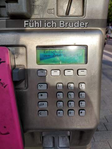 Bild zum Beitrag