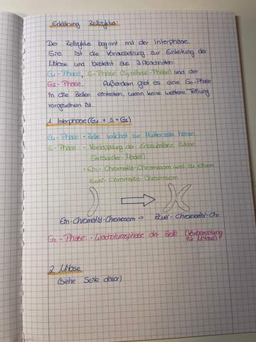 Bild zum Beitrag
