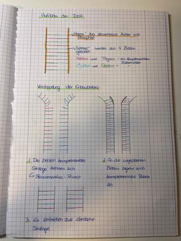 Bild zum Beitrag
