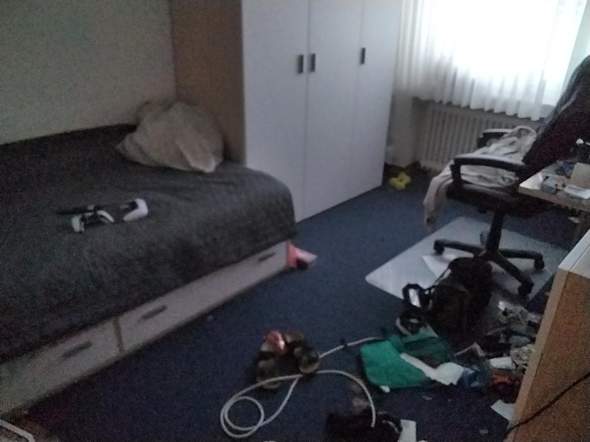 Bild zum Beitrag