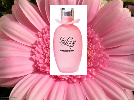 Wie lade ich youtube videos runter Wie lade ich youtube videos runter