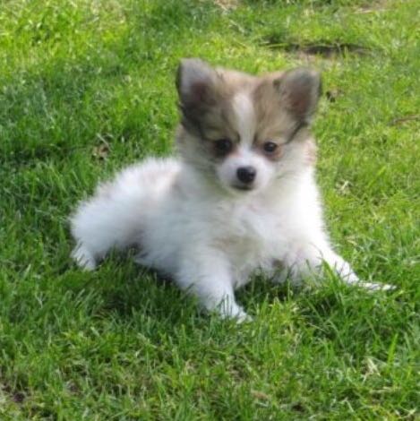 Türkei urlaub 2020 ja oder nein Türkei urlaub 2020 ja oder nein