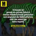 Kennt Jemand Lustige Rosen Sind Rot Veilchen Sind Blau