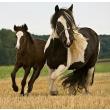 Handy spiele gegen langeweile