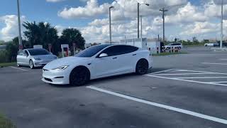 Wie heißt die Tesla Hupe? (Auto, fahren, Elektroauto)